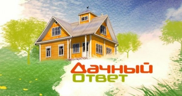 Дачный ответ 28.04.2019 - Кухня-гостиная с золотой стеной